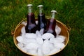 Picnic Drinks in an Ice Bucket Royalty Free Stock Photo