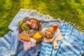 Picnic duvet and basket with different food, fruits, orange juice., yogurt and bread on green grass Royalty Free Stock Photo