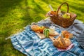 Picnic duvet and basket with different food, fruits, orange juice., yogurt and bread on green grass Royalty Free Stock Photo