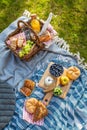 Picnic duvet and basket with different food, fruits, orange juice., yogurt and bread on green grass Royalty Free Stock Photo