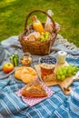 Picnic duvet and basket with different food, fruits, orange juice., yogurt and bread on green grass Royalty Free Stock Photo