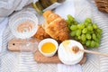 picnic on the field with cheese, grapes and wine. picnic basket Royalty Free Stock Photo