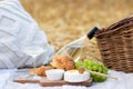 picnic on the field with cheese, grapes and wine. picnic basket Royalty Free Stock Photo