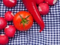 Picnic food for ecotourism: tomato, radish and pepper on a white Royalty Free Stock Photo