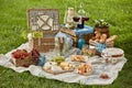Picnic food set with beverages on green grass Royalty Free Stock Photo