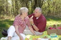 Picnic in the forest Royalty Free Stock Photo