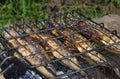 Picnic. Fresh sea fish cooks on a lattice on hot coals