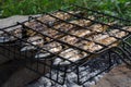 Picnic. Fresh sea fish cooks on a lattice on hot coals