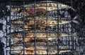 Picnic. Fresh sea fish cooks on a lattice on hot coals Royalty Free Stock Photo