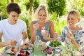 Picnic fun Royalty Free Stock Photo