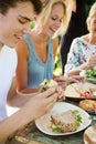 Picnic fun Royalty Free Stock Photo