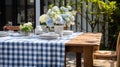 picnic gingham blue