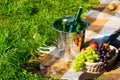 Picnic on the grass with chilled wine and fruit basket for two