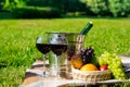 Picnic on the grass with chilled wine in glasses and a basket of fresh fruits for two