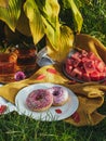 Picnic on the grass. Two donuts with glaze, next to a plate of sliced watermelon and two mugs of tea on a wooden plate. The sun fa