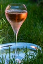 Picnic on green grass with rose champagne sparkling wine or cava, cremant produced by traditional method in underground caves in Royalty Free Stock Photo