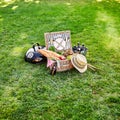 Picnic hamper with fresh vegetables and beer Royalty Free Stock Photo