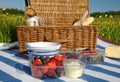 Picnic hamper with wine, bread and berries in meadow and blue sky Royalty Free Stock Photo