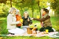 Picnic.Happy Family outdoors Royalty Free Stock Photo