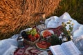 Picnic at the hayloft. near a straw bale. Summer, beauty, fashion, glamour, lifestyle concept. Cottagecore farmcore naturecore Royalty Free Stock Photo