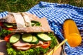 Picnic with homemade sandwiches