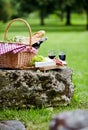 A picnic laid out in a green spring park Royalty Free Stock Photo