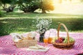 Picnic Lunch Meal Outdoors Park Food Concept, Closeup of picnic