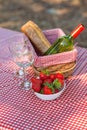 Picnic on the nature. Romantic dinner on the nature. Holidays on holidays or weekends. vertical photo