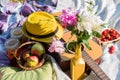 Picnic in the outdoor with guitar, straw hat, apples, strawberry