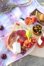 Picnic outdoor with rose wine fruits meat and cheese Royalty Free Stock Photo