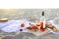 Picnic outdoor with rose wine fruits meat and cheese Royalty Free Stock Photo