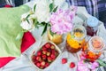 Picnic in the outdoor with strawberry and cold beverages Royalty Free Stock Photo