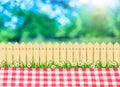 A picnic outdoor, tablecloth in backyard and wooden garden fence Royalty Free Stock Photo