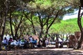 Picnic Park with trees and grill Royalty Free Stock Photo