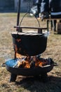 Picnic place with a campfire, firewood and boiler with lid in sunny spring day