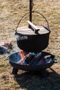 Picnic place with a campfire, firewood and boiler with lid in sunny spring day