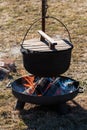 Picnic place with a campfire, firewood and boiler with lid in sunny spring day