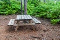 Picnic place in Cockscomb Basin Wildlife Sanctuary, Beliz Royalty Free Stock Photo