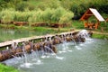 Picnic place near lake