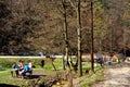 Picnic place in the road to the winter station and spa Poiana Brasov.