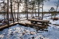 Picnic place on the typical bog landscape at sunny winter day. Royalty Free Stock Photo