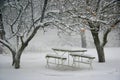 Picnic place in winter