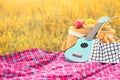 Picnic props in the autumn meadow field. Ukulele guitar, picnic basket, bread and fruits on picnic mat on grass. Object and Travel
