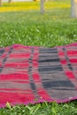 Picnic or Beach mat and grass Background in summer Royalty Free Stock Photo