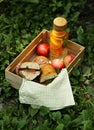 Picnic - sandwiches and lemonade Royalty Free Stock Photo