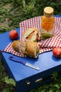 Picnic - sandwiches and lemonade Royalty Free Stock Photo