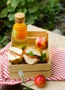 Picnic - sandwiches and lemonade Royalty Free Stock Photo