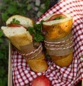 Picnic - sandwiches and lemonade Royalty Free Stock Photo