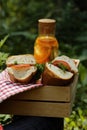 Picnic - sandwiches and lemonade Royalty Free Stock Photo