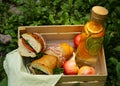 Picnic - sandwiches and lemonade Royalty Free Stock Photo